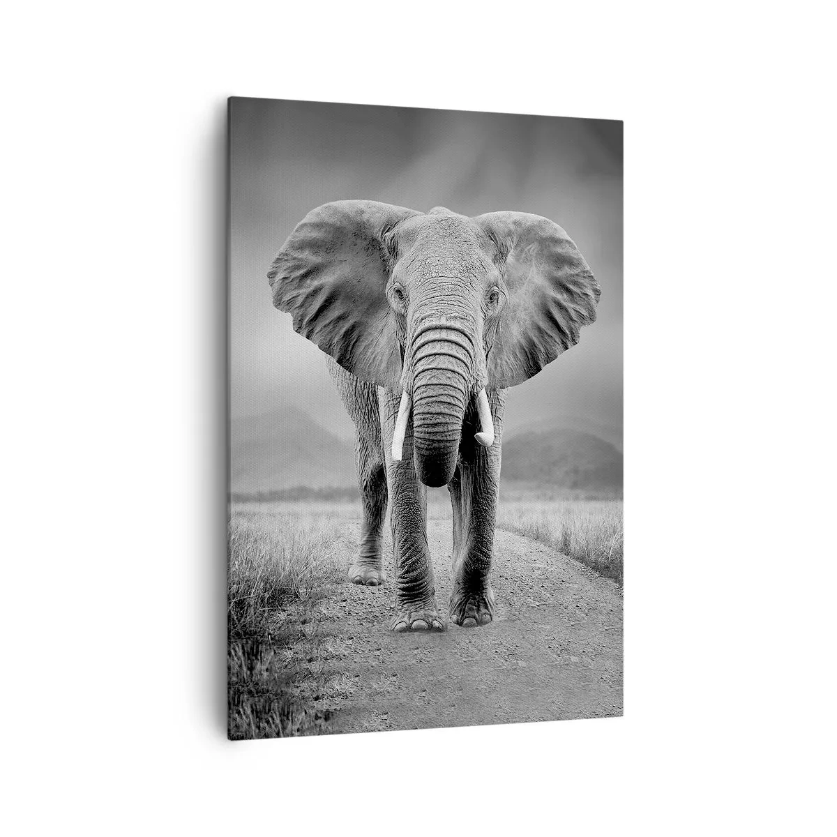 Impression sur toile - Image sur toile - Un puissant éléphant dans la savane aux tons monochromes - 70x100cm - Les hôtes vous saluent - Décoration murale moderne pour le salon et la chambre ARTTOR