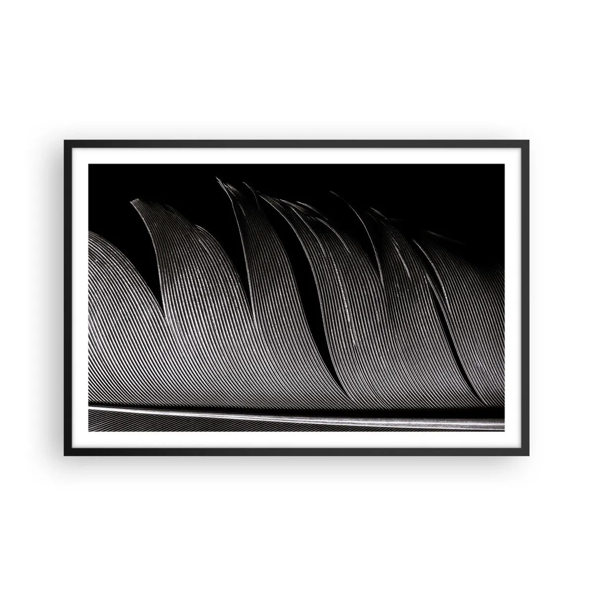 Affiche dans un cadre noir - Poster - La plume – un design magnifique - 91x61 cm
