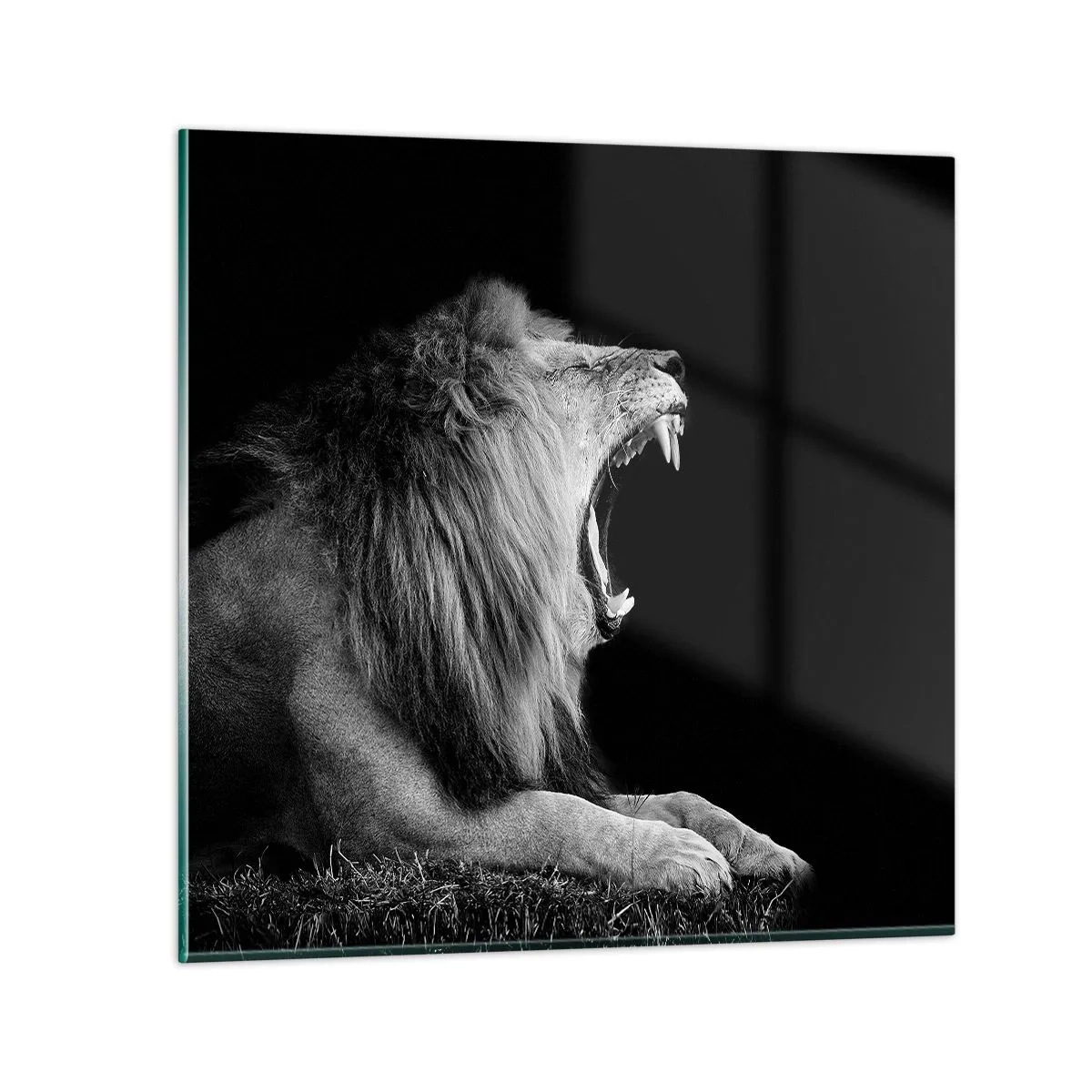 Impression sur verre - Image sur verre - Sans aucun doute - 50x50 cm