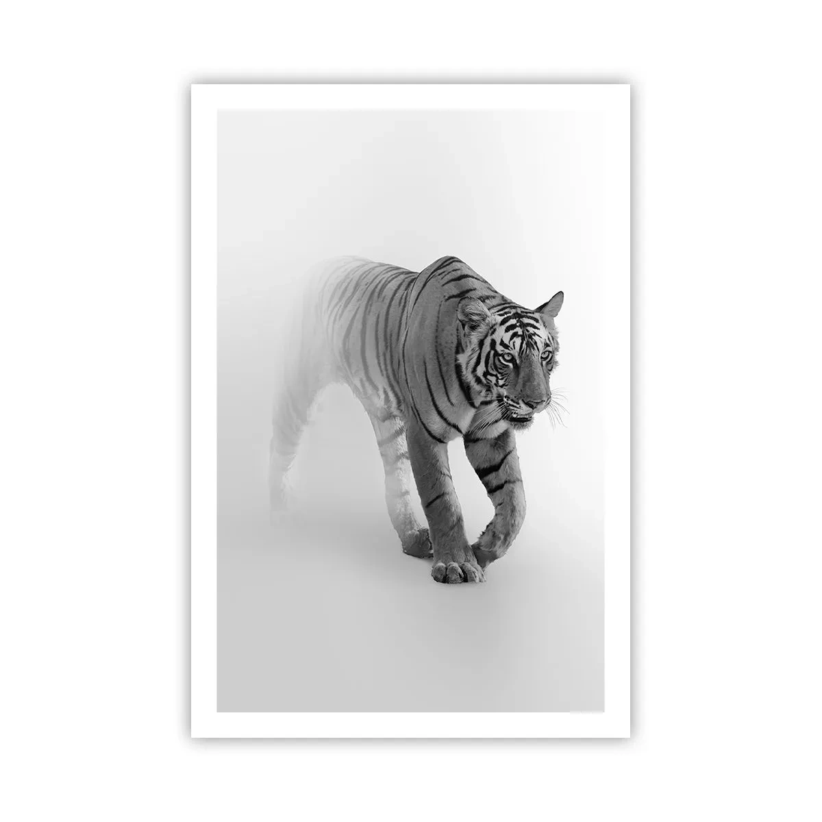 Affiche - Poster - Accroupi dans le brouillard - 61x91 cm