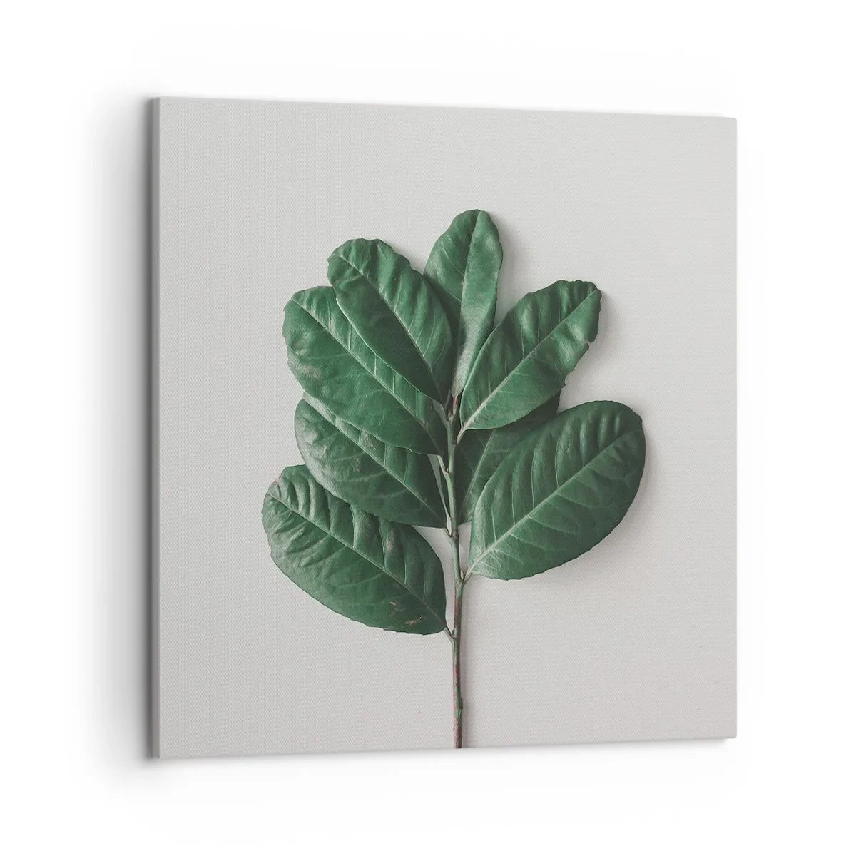 Impression sur toile - Image sur toile - Dessin de la nature elle-même - 50x50 cm