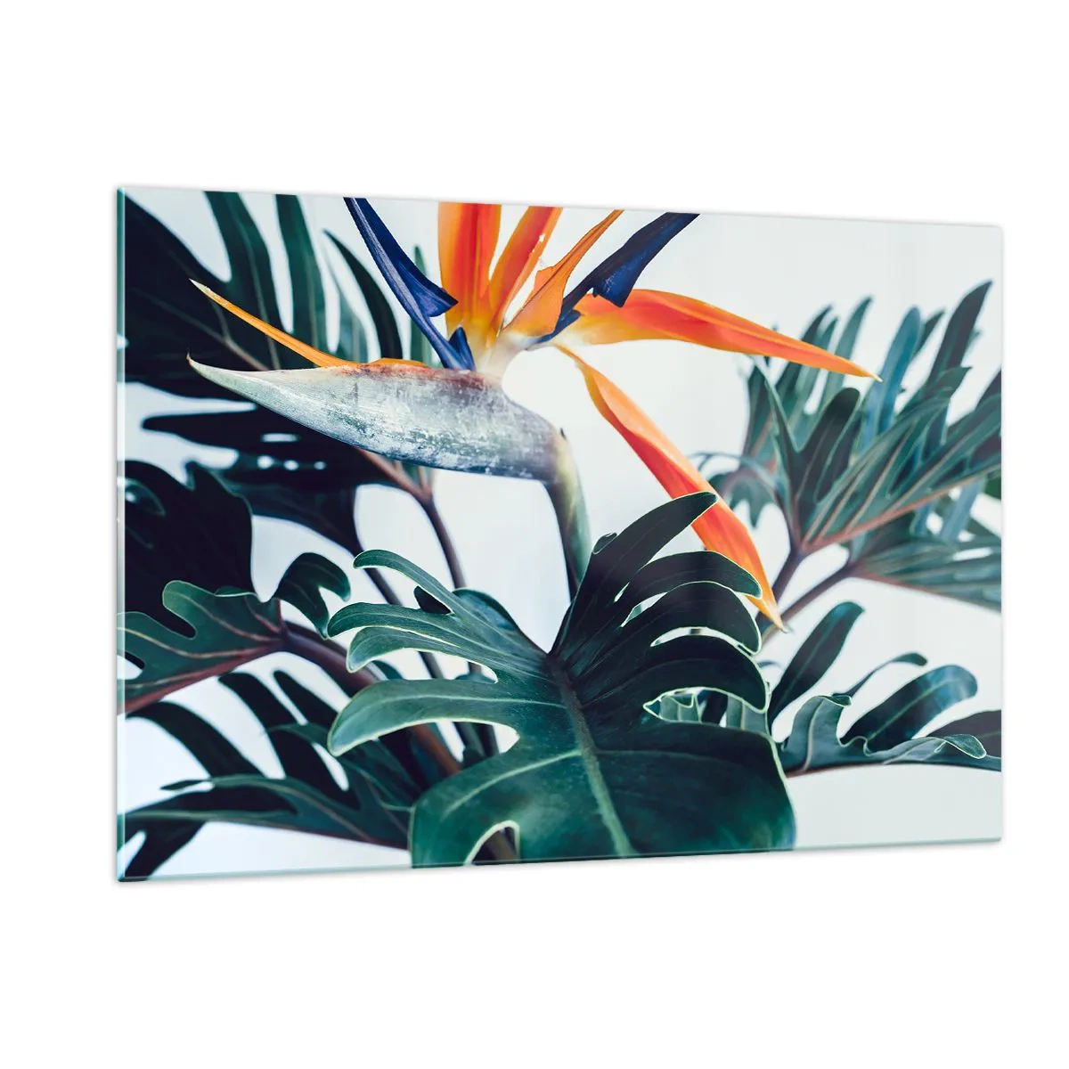Impression sur verre - Image sur verre - Plante exotique avec fleur d'oiseau de paradis - 120x80cm - Le buisson oiseaux - Décoration murale moderne pour le salon et la chambre ARTTOR