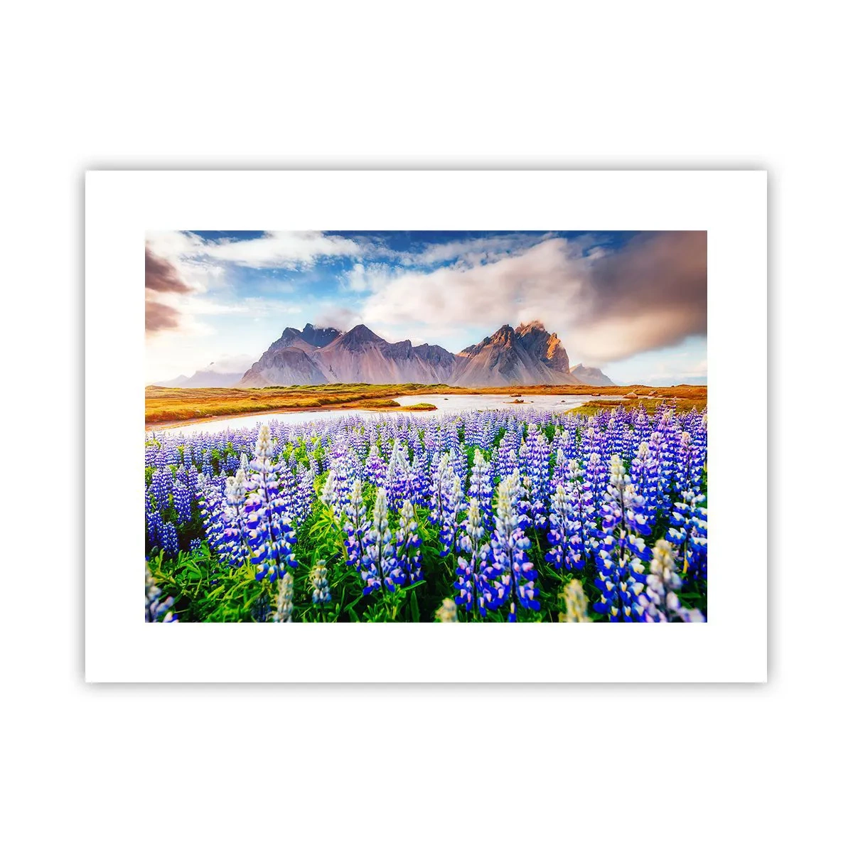 Affiche - Poster - La force et l'austérité côtoient la douceur - 40x30 cm