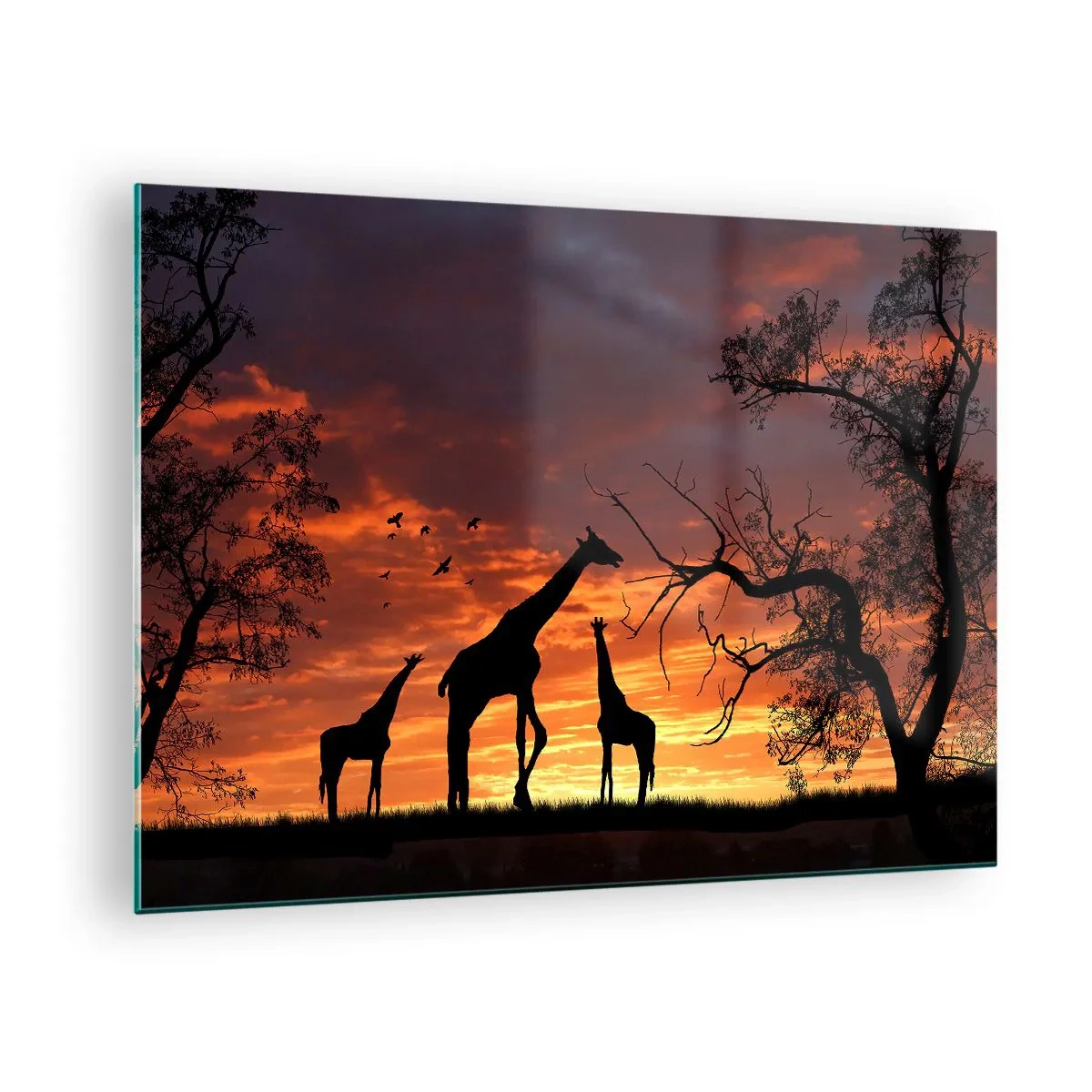 Impression sur verre - Image sur verre - Silhouettes de girafes sur fond de coucher de soleil dans un paysage africain - 70x50cm - Un petit dîner avec vos proches - Décoration murale moderne pour le salon et la chambre ARTTOR
