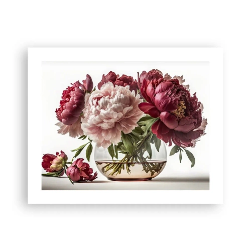 Affiche - Poster - En pleine floraison de beauté - 50x40 cm