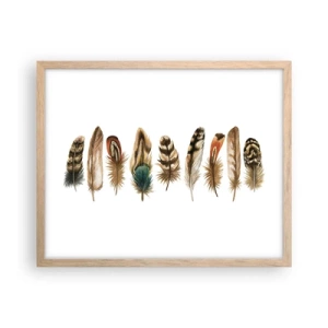 Affiche dans un chêne clair - Poster - Variation à plumes - 50x40 cm