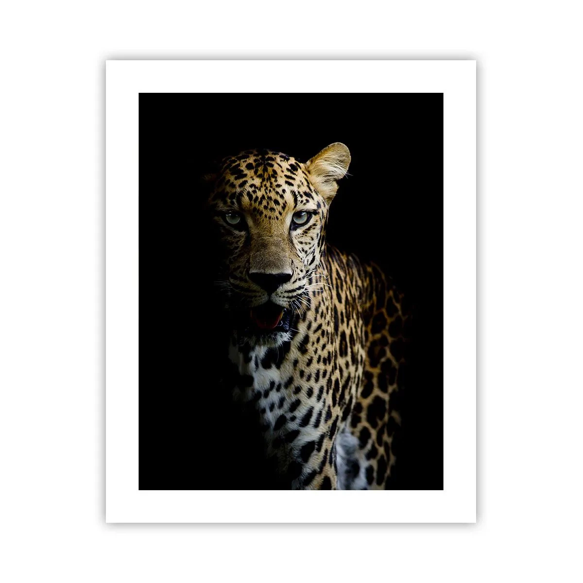Affiche - Poster - Beauté sombre - 40x50 cm
