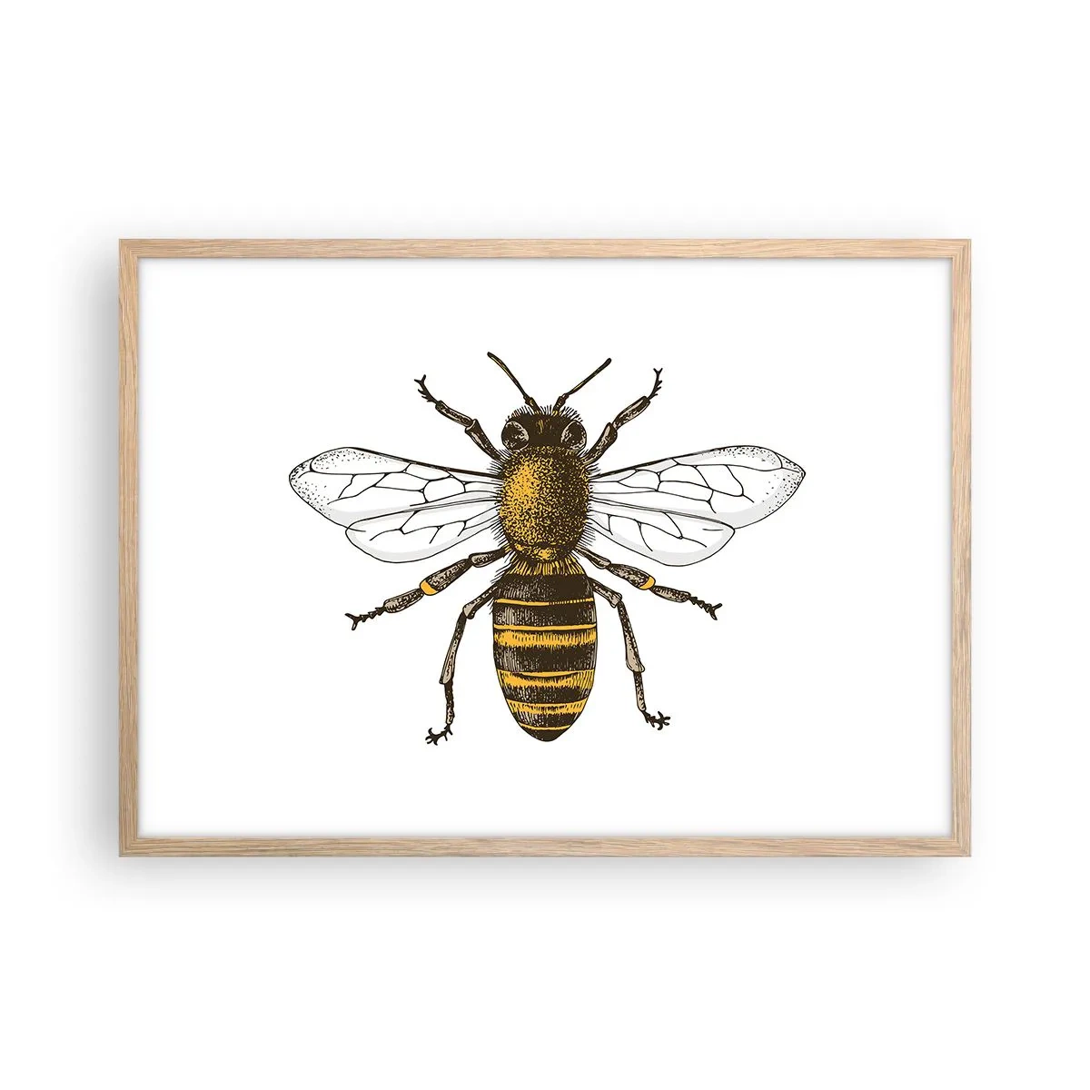 Affiche dans un chêne clair - Poster - Belle et bonne - 70x50 cm