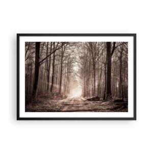 Affiche dans un cadre noir - Poster - Un chemin forestier parmi des arbres aux tons sépia - 70x50cm - Cathédrale de la forêt - Décoration murale moderne pour le salon et la chambre ARTTOR