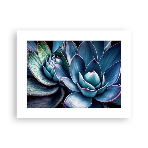 Affiche - Poster - Force vital - 40x30 cm