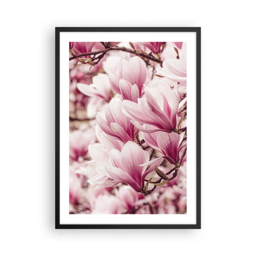 Affiche dans un cadre noir - Poster - Magnolias romantiques en fleurs d'un rose délicat - 50x70cm - Le printemps est rose - Décoration murale moderne pour le salon et la chambre ARTTOR