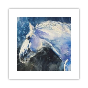 Affiche - Poster - Portrait dans une lueur azur - 30x30 cm