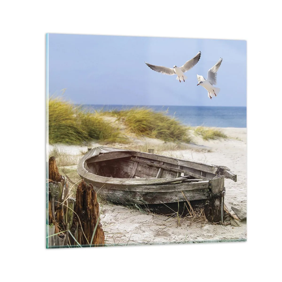 Impression sur verre - Image sur verre - Bain de vent - 50x50 cm