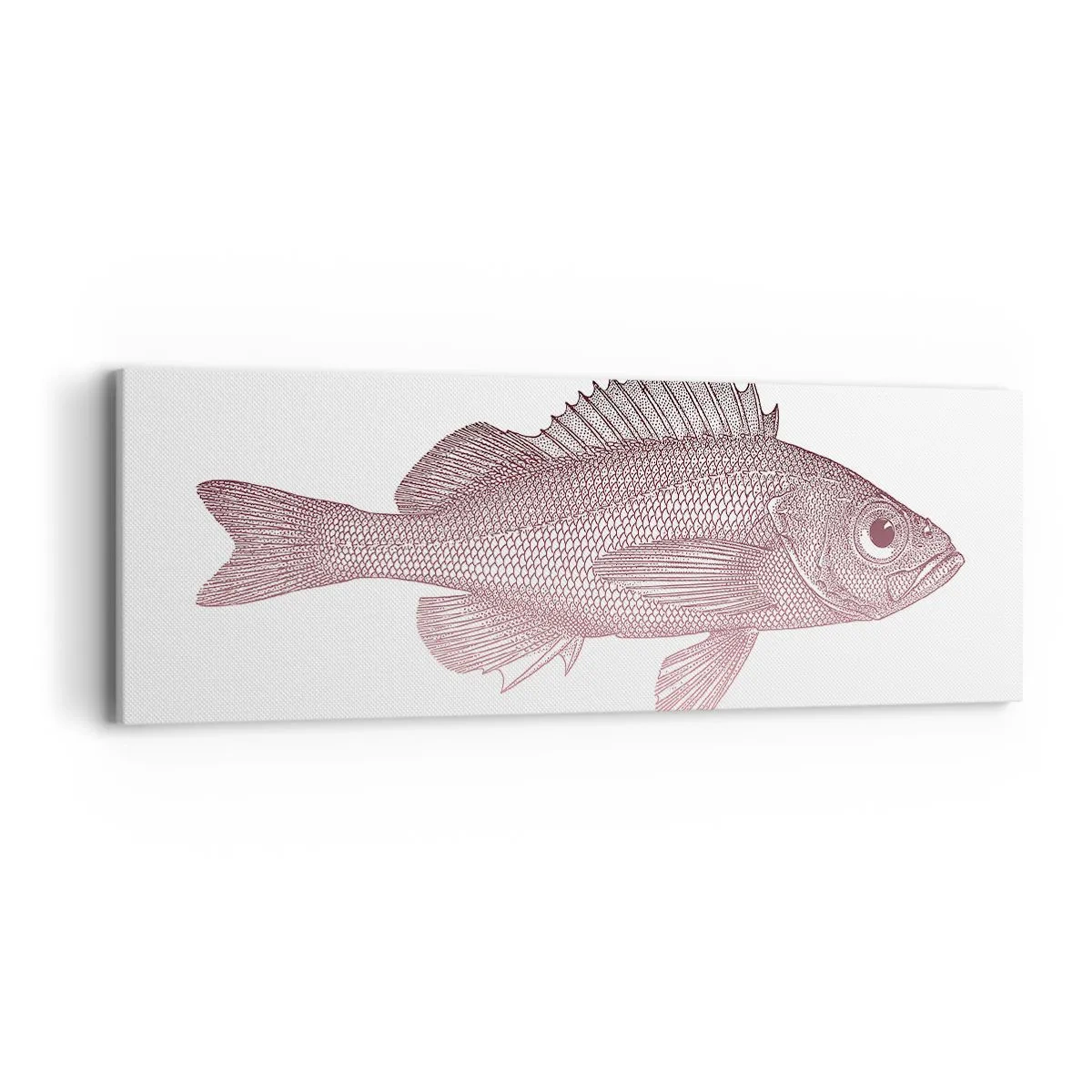 Impression sur toile - Image sur toile - Poisson aux grands yeux - 90x30 cm