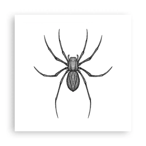 Affiche - Poster - Une précision troublante - 50x50 cm