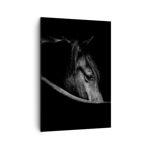 Impression sur toile - Image sur toile - Portrait en noir et blanc d'un cheval avec un jeu subtil de lumière et d'ombre sur un fond sombre. - 70x100cm - Prince Noir - Décoration murale moderne pour le salon et la chambre ARTTOR