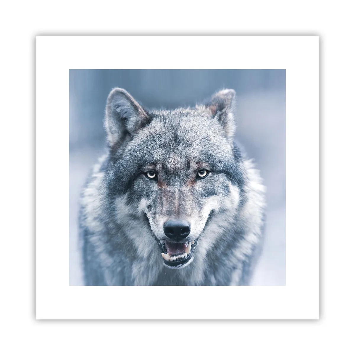 Affiche - Poster - Relèverez-vous le défi ? - 30x30 cm