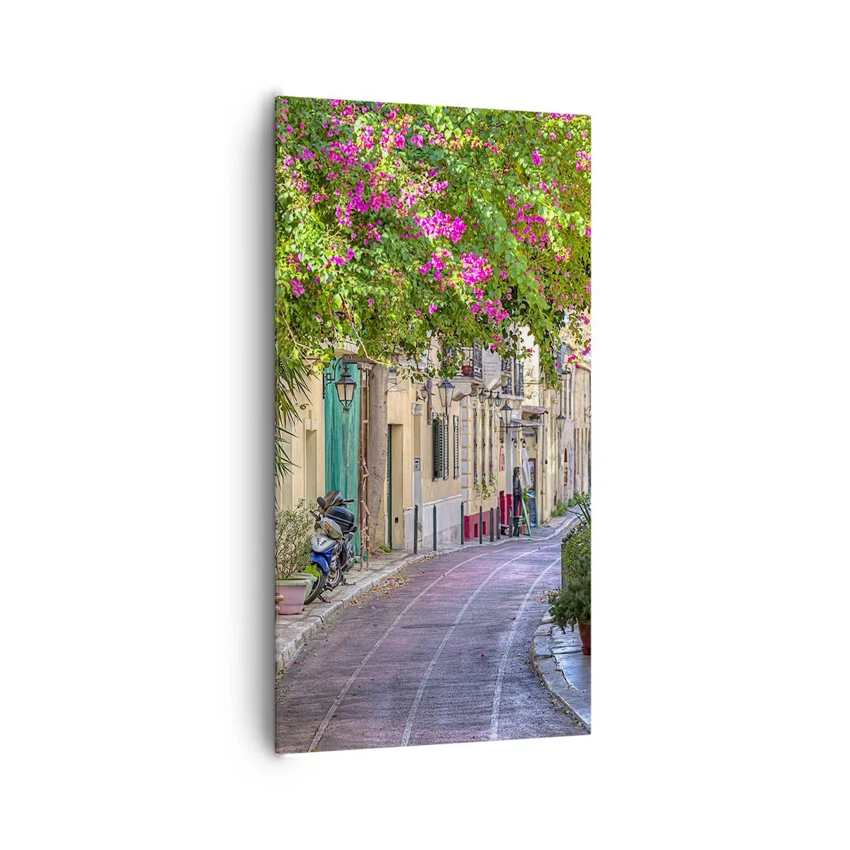 Impression sur toile - Image sur toile - Allée fleurie - 65x120 cm