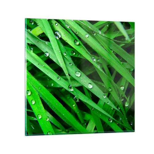 Impression sur verre - Image sur verre - Jouez dans le vert - 70x70 cm