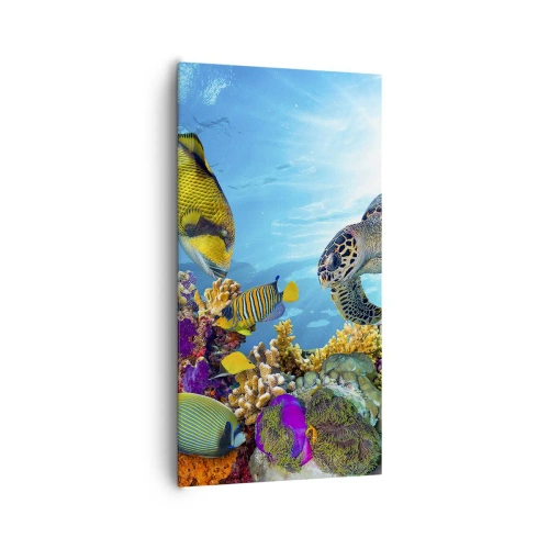 Impression sur toile - Image sur toile - Promenade de corail - 65x120 cm