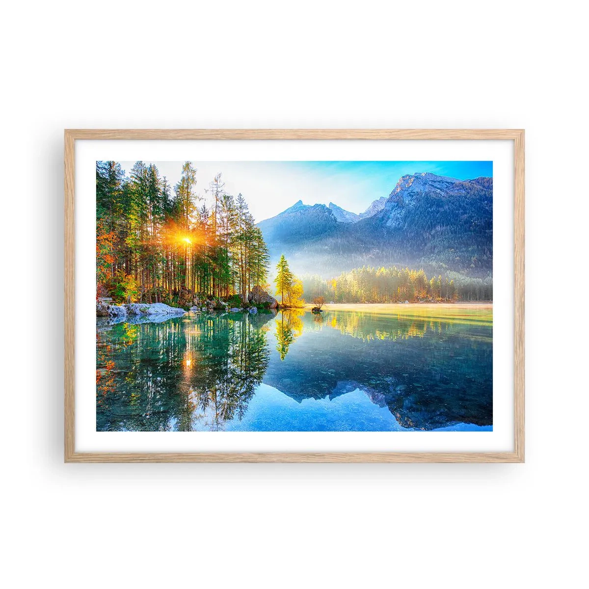 Affiche dans un chêne clair - Poster - Majesté et douceur - 70x50 cm