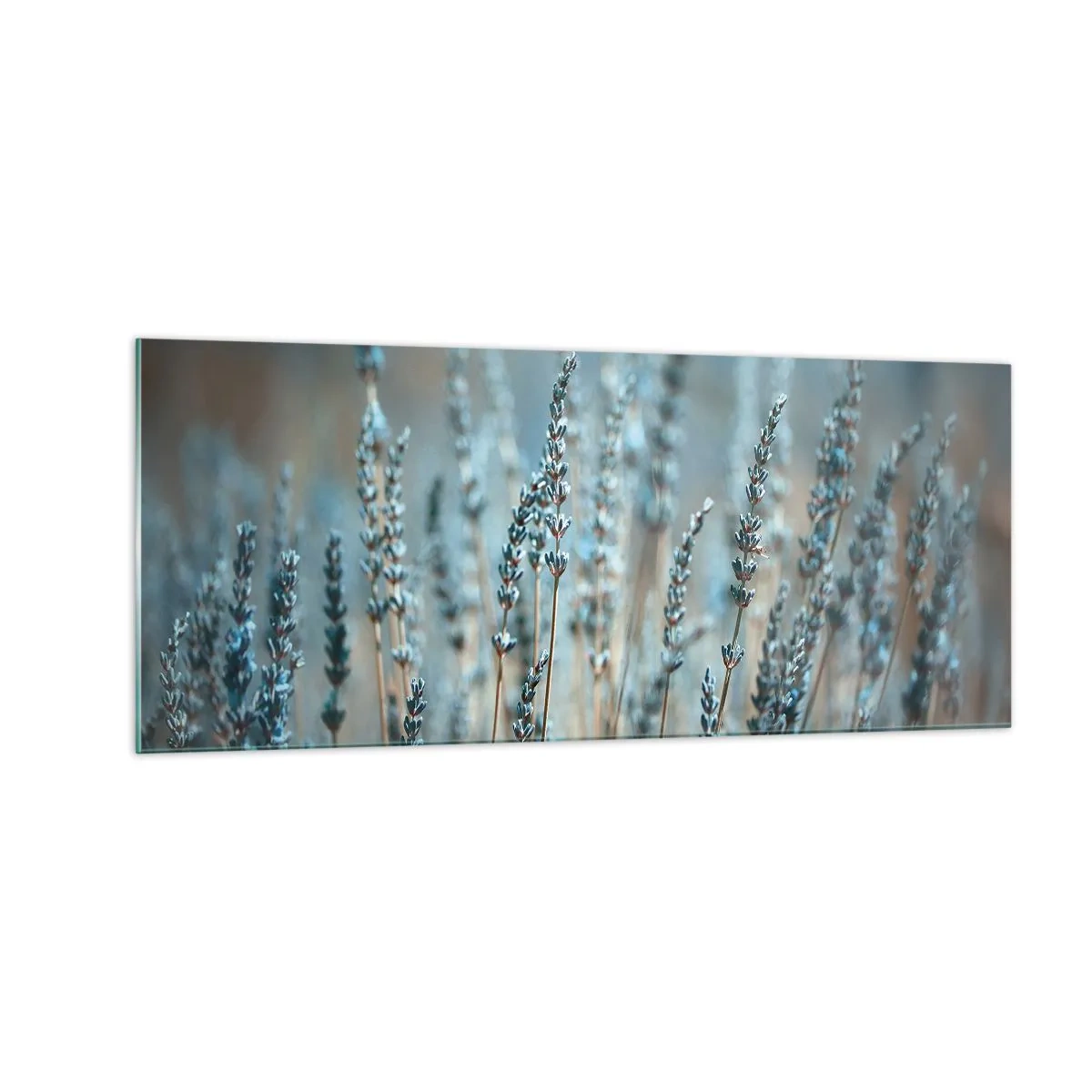 Impression sur verre - Image sur verre - Tige odorante - 100x40 cm