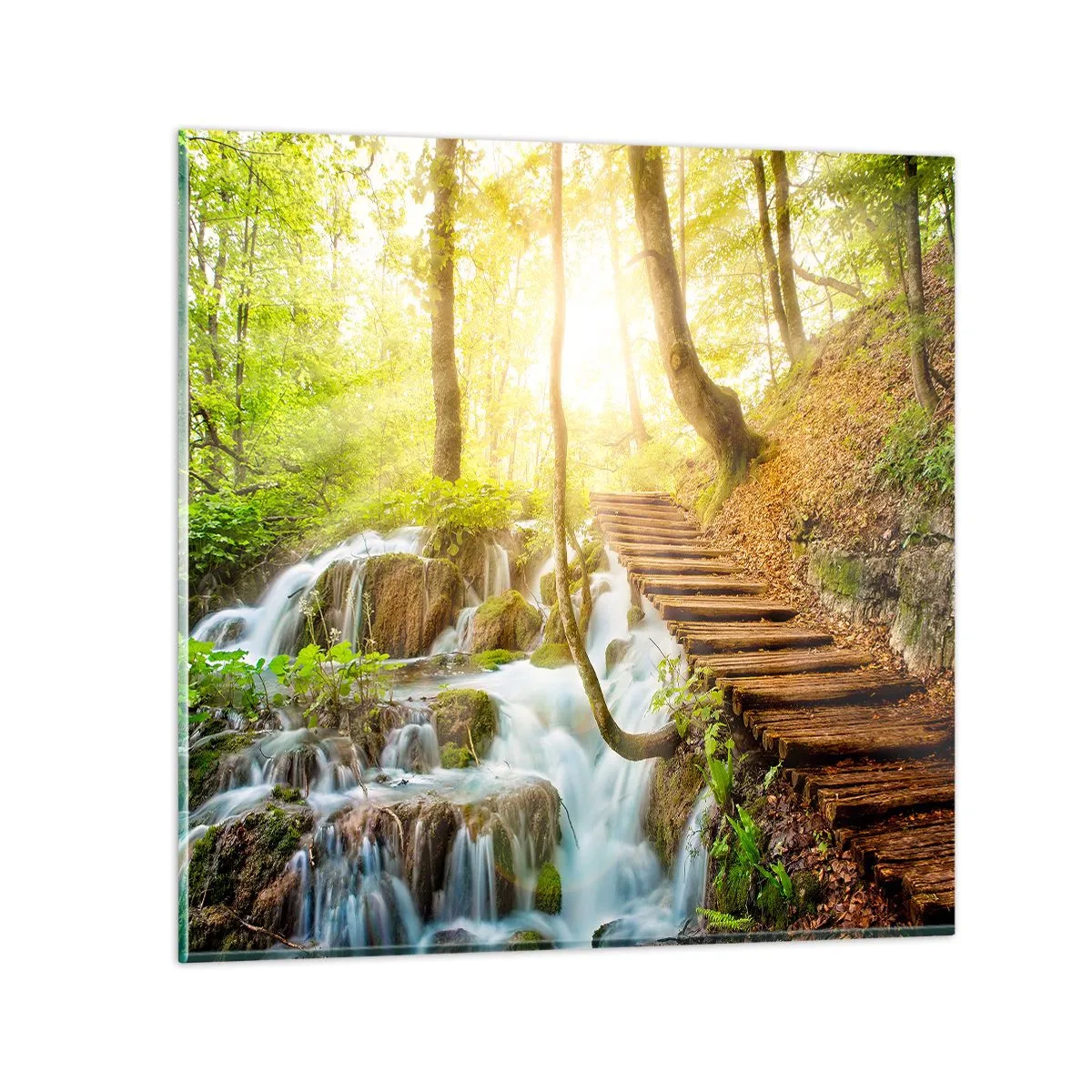 Impression sur verre - Image sur verre - Une fraîcheur tant désirée - 30x30 cm