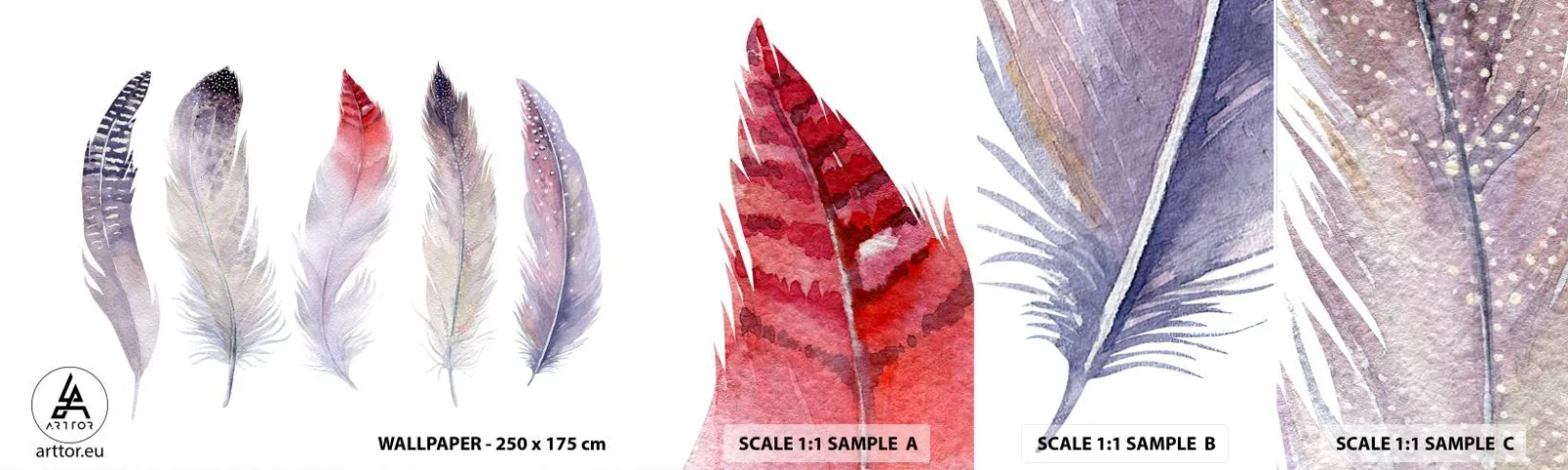 Échantillon De Papier Peint Standard Eco - Délicat comme un brouillard multicolore - Plume d'oiseau, Bohème, Graphique - 100x30 cm