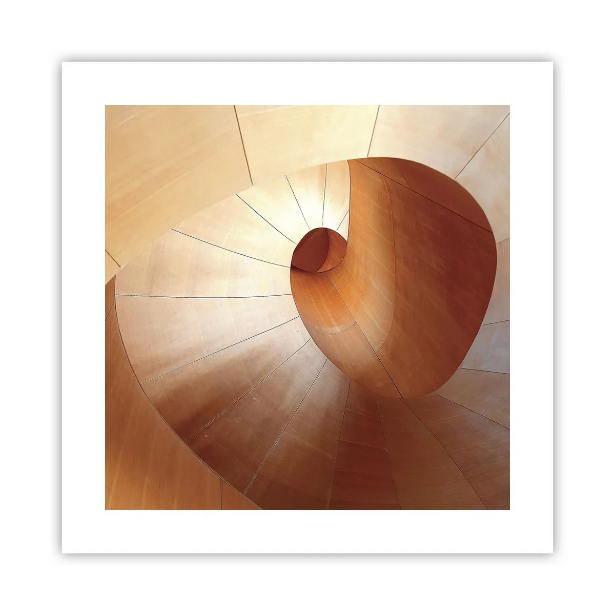 Affiche - Poster - Serpentin architectural - 40x40 cm