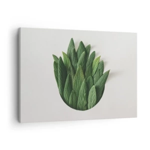 Impression sur toile - Image sur toile - Une composition de feuilles vertes sur un fond clair - 70x50cm - Curiosité sans retenue - Décoration murale moderne pour le salon et la chambre ARTTOR