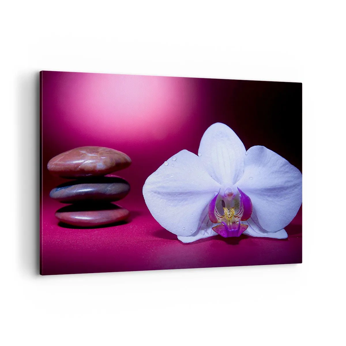 Impression sur toile - Image sur toile - Orchidée blanche et pierres sur fond rose - 100x70cm - Une étude de fraîcheur en violet - Décoration murale moderne pour le salon et la chambre ARTTOR