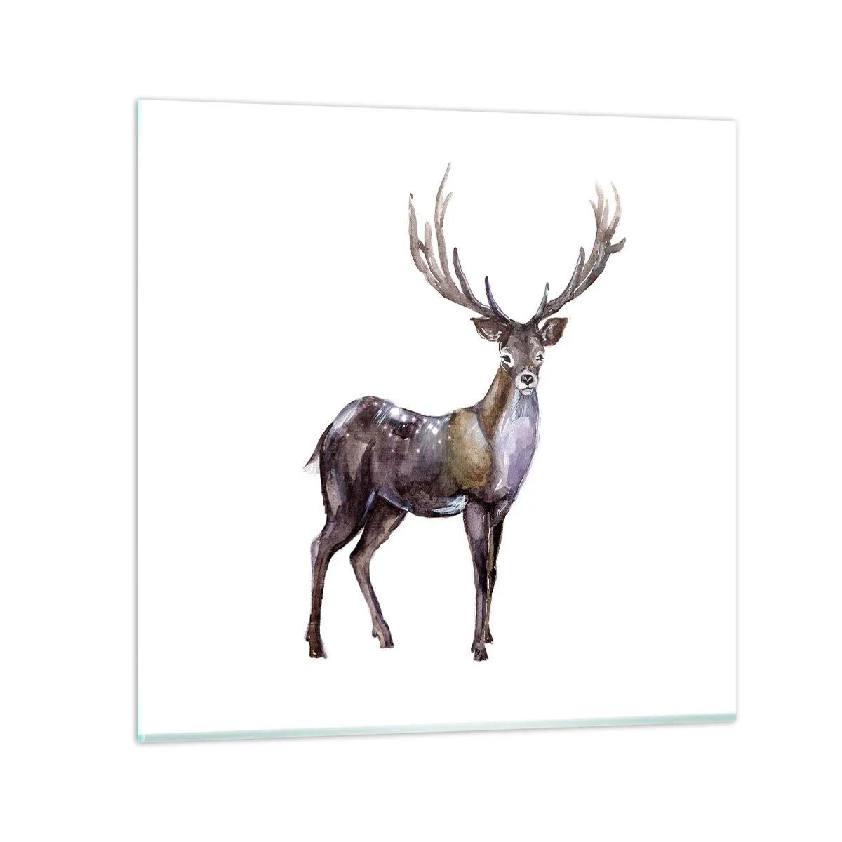 Impression sur verre - Image sur verre - Roi de la forêt du nord - 60x60 cm
