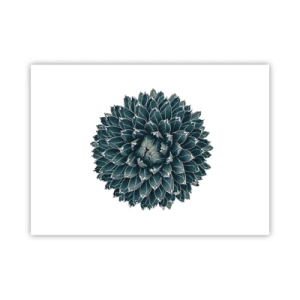 Affiche - Poster - Étoile du désert - 70x50 cm