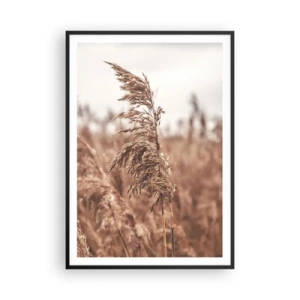 Affiche dans un cadre noir - Poster - C'est déjà l'automne dans les champs - 70x100 cm