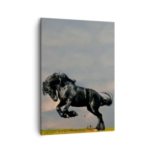 Impression sur toile - Image sur toile - Un cheval noir dans un saut dynamique contre le ciel - 50x70cm - Beau et libre - Décoration murale moderne pour le salon et la chambre ARTTOR