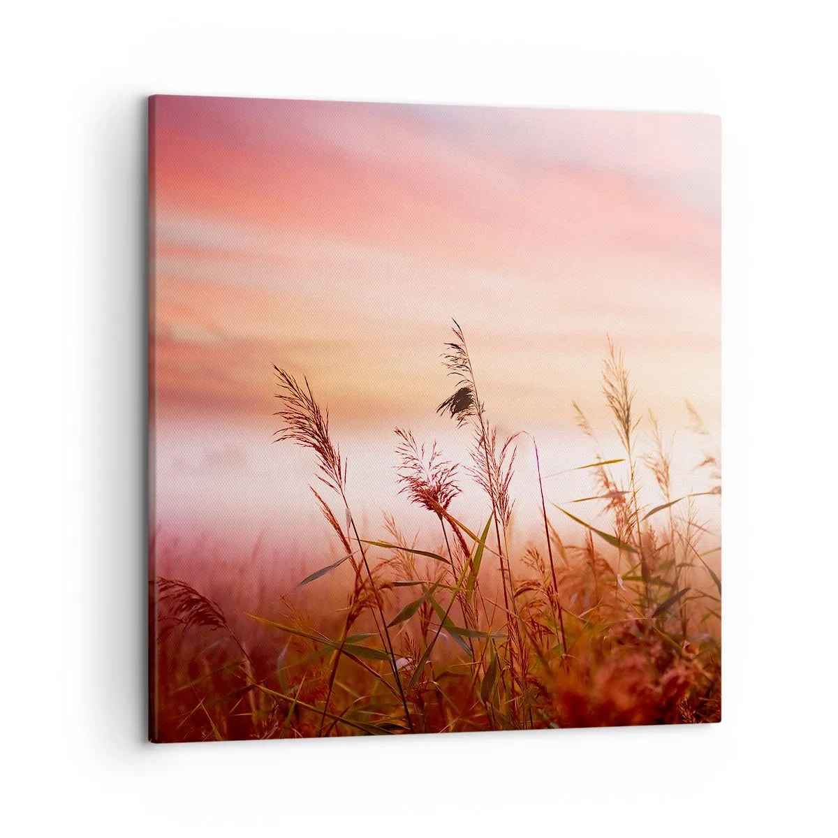 Impression sur toile - Image sur toile - Cerfs-volants, pissenlits, vent - 50x50 cm