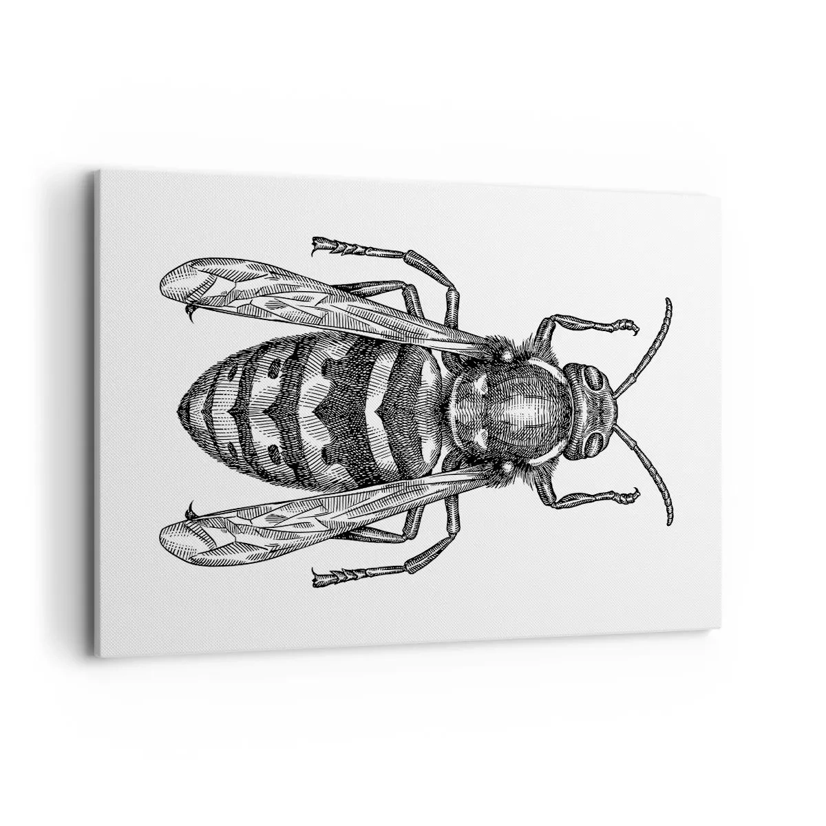 Impression sur toile - Image sur toile - Un motif de guêpe de dessin animé sur fond blanc dans un style minimaliste. - 120x80cm - D'une planète d'insectes - Décoration murale moderne pour le salon et la chambre ARTTOR