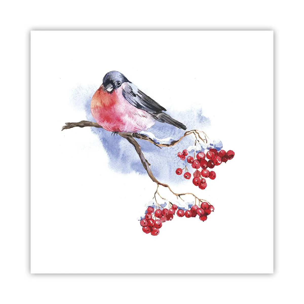 Affiche - Poster - L'hiver en couleurs - 40x40 cm