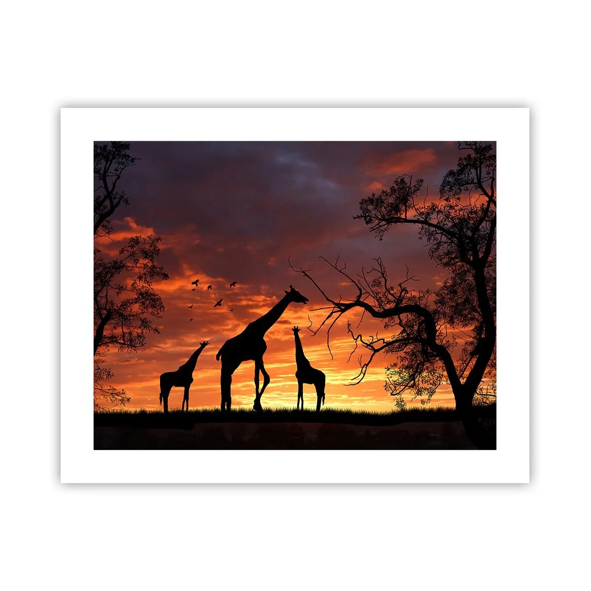 Affiche - Poster - Un petit dîner avec vos proches - 50x40 cm