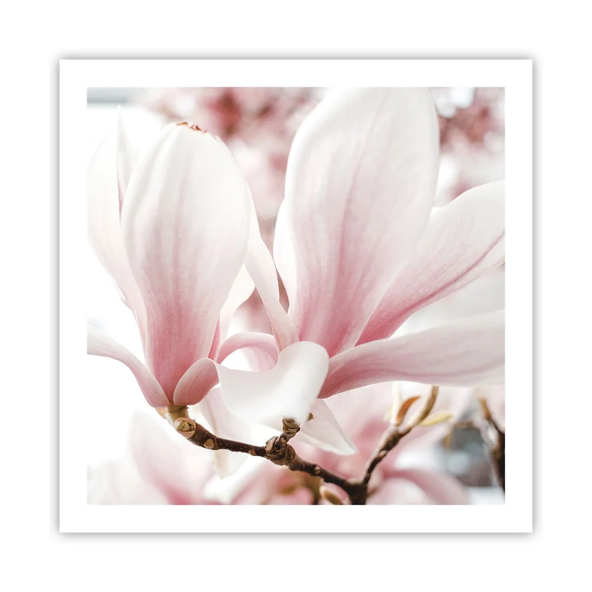 Affiche - Poster - Abondance de tendresse - 60x60 cm