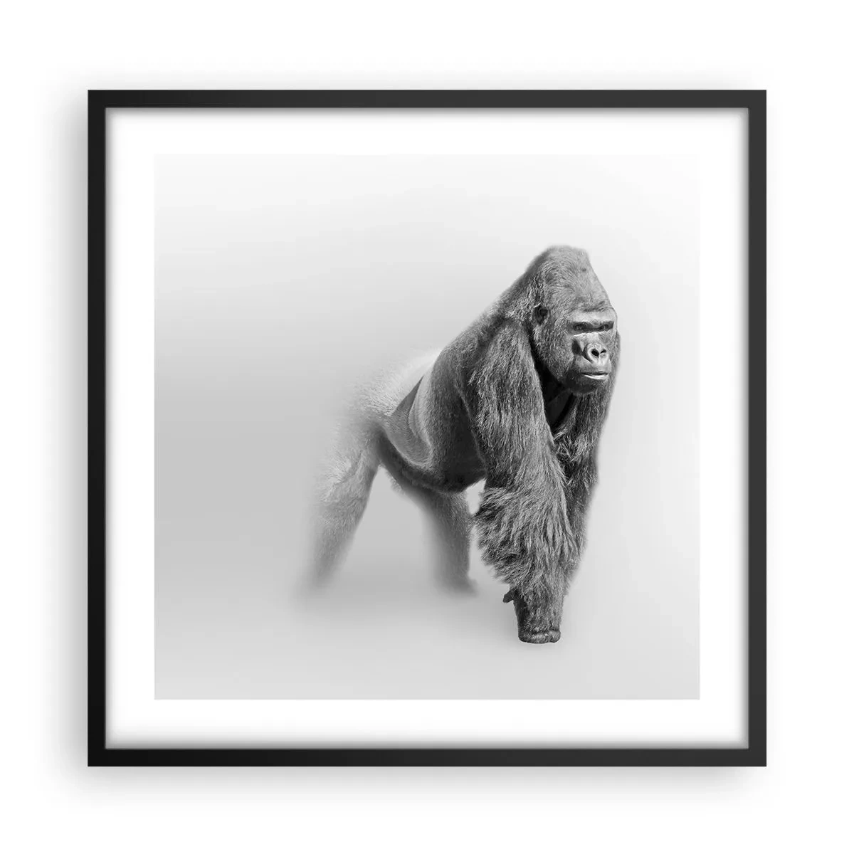 Affiche dans un cadre noir - Poster - Confiant en sa force - 50x50 cm