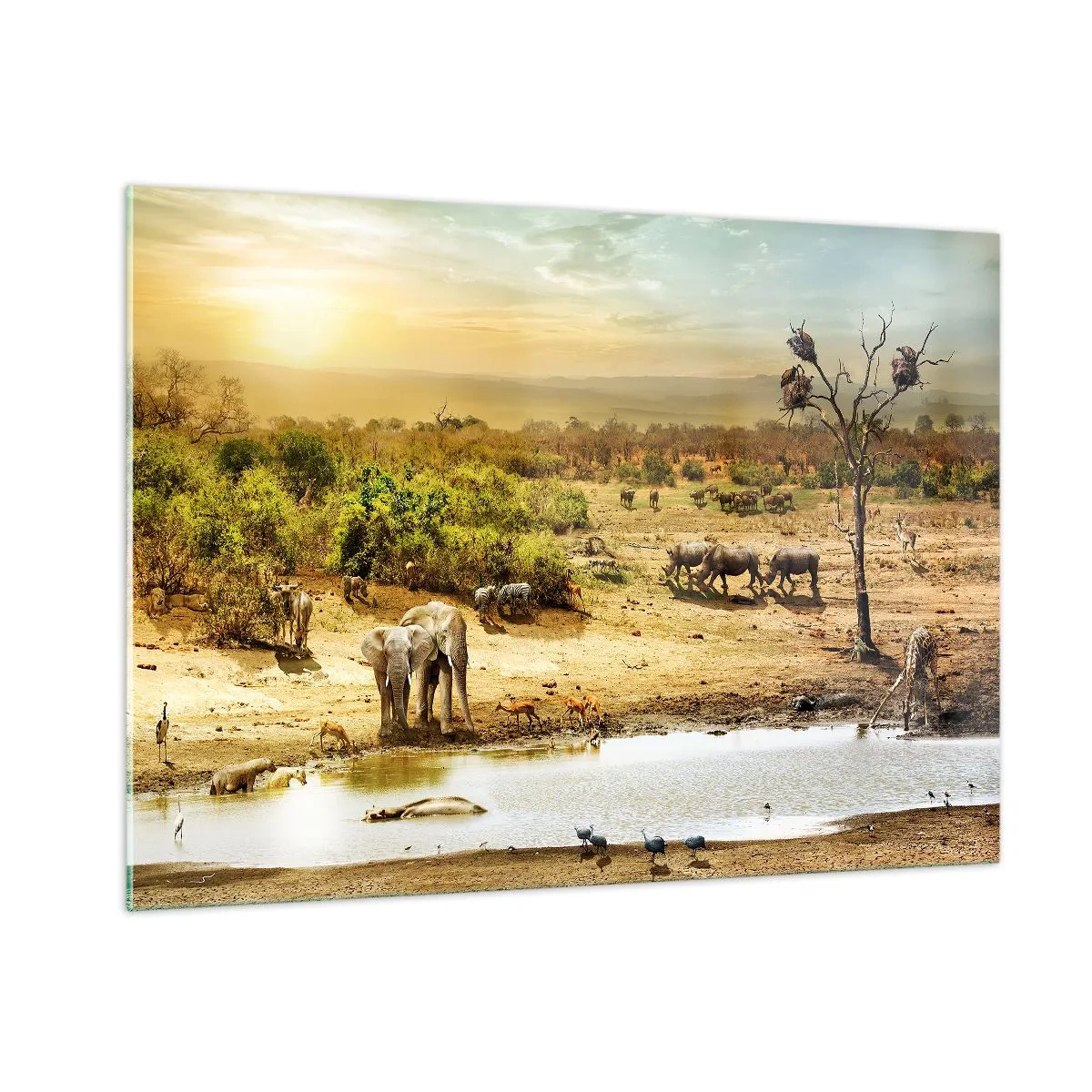 Impression sur verre - Image sur verre - Éléphants et animaux à un point d'eau sur fond de paysage africain - 100x70cm - "Et d'Eden coulait une rivière..." - Décoration murale moderne pour le salon et la chambre ARTTOR