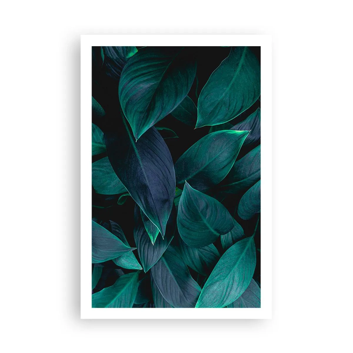 Affiche - Poster - le vert lui-même - 61x91 cm