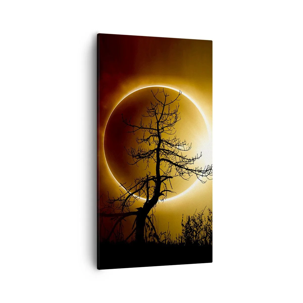 Impression sur toile - Image sur toile - Éclipse totale - 55x100 cm