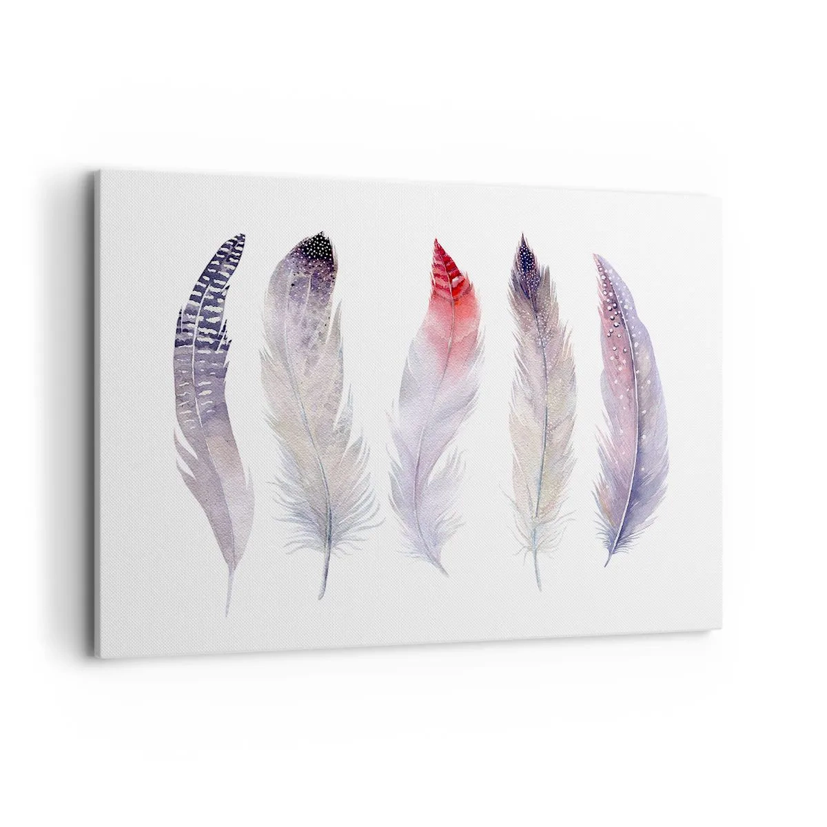 Impression sur toile - Image sur toile - Cinq plumes délicates aux tons pastel sur fond clair - 120x80cm - Délicat comme un brouillard multicolore - Décoration murale moderne pour le salon et la chambre ARTTOR
