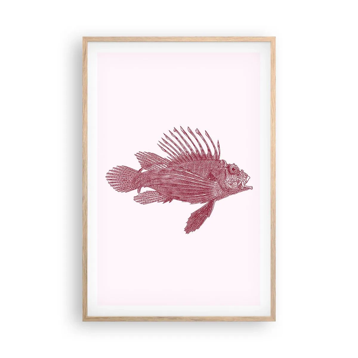 Affiche dans un chêne clair - Poster - Un habitant des eaux exotiques - 61x91 cm