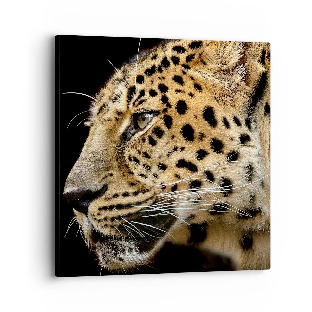 Impression sur toile - Image sur toile - Calme, concentré, prêt - 30x30 cm