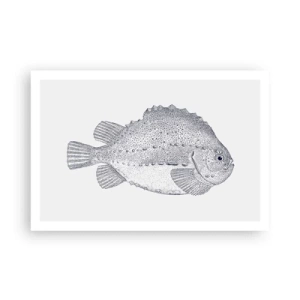 Affiche - Poster - Pour l'album du naturaliste - 91x61 cm