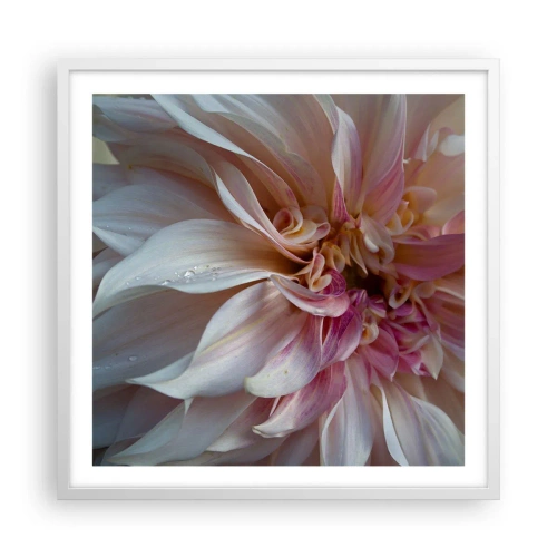 Affiche dans un cadre blanc - Poster - Fraîcheur fleurissante - 60x60 cm