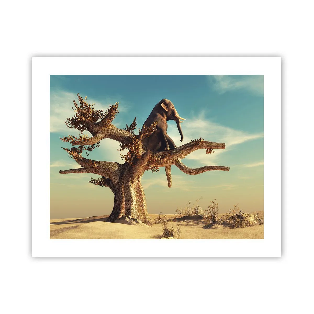 Affiche - Poster - Nouveau point de vue - 50x40 cm